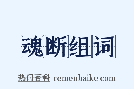 魂断组词是什么意思的图片